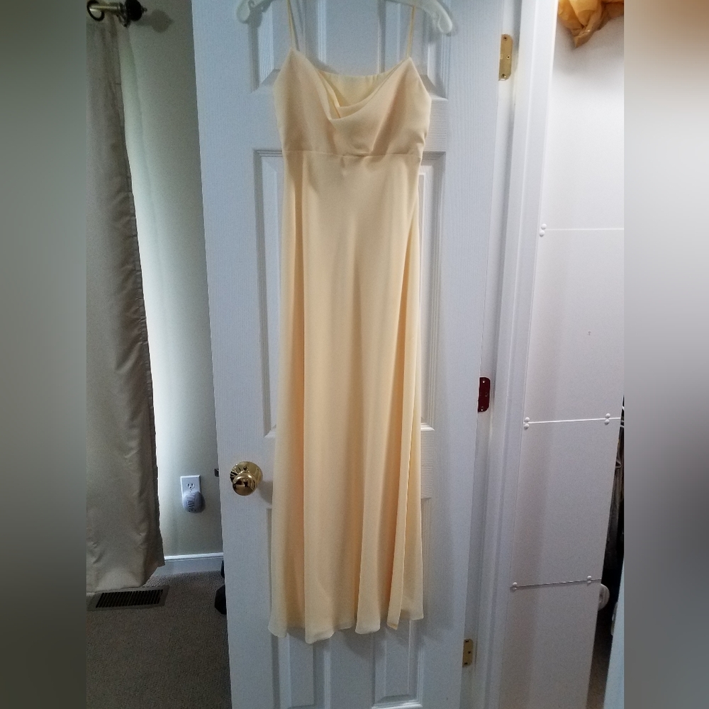 Michaelangelo Dress